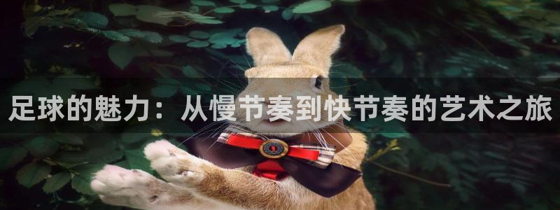 意昂4体育官网