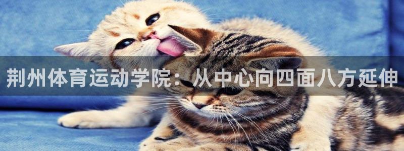 意昂4股份