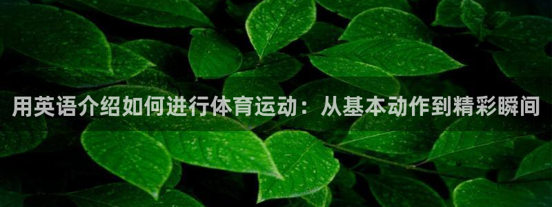 意昂4体育注册代理