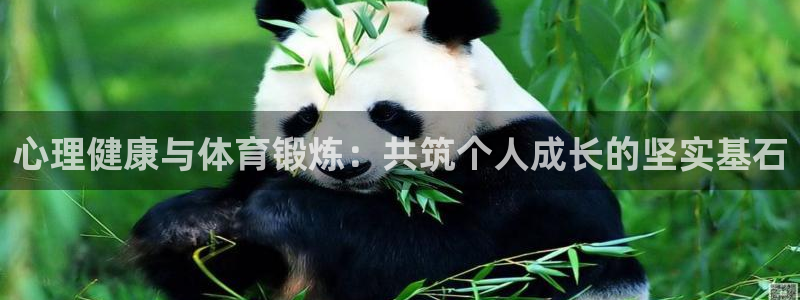 意昂44开户