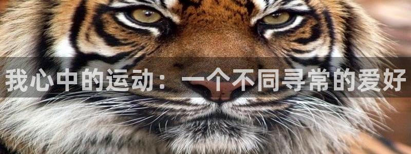 意昂4官网