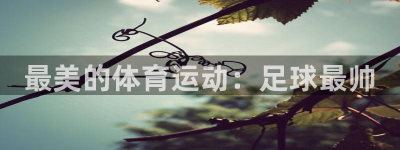 意昂45注册