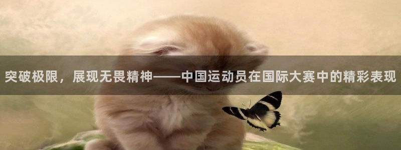 意昂4包怎么样