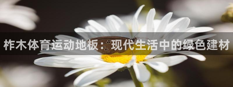意昂4平台开户链接