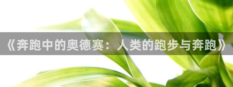 意昂4总代