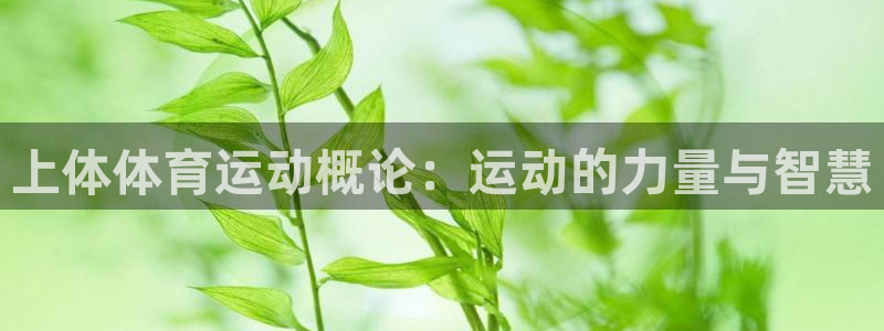 意昂4平台开户链接