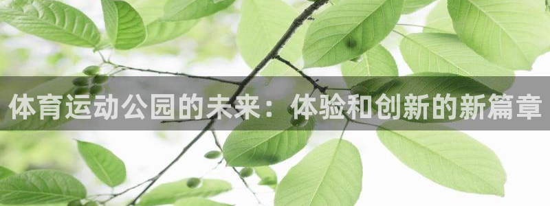 意昂4老板