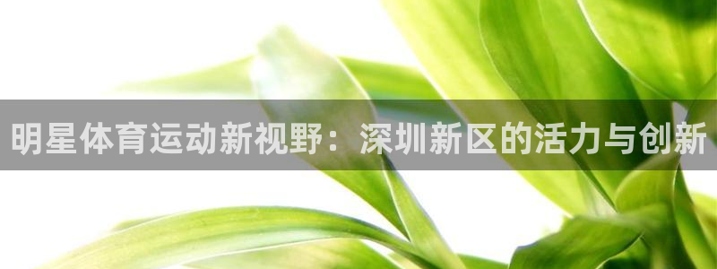 意昂4凯捷开号链接